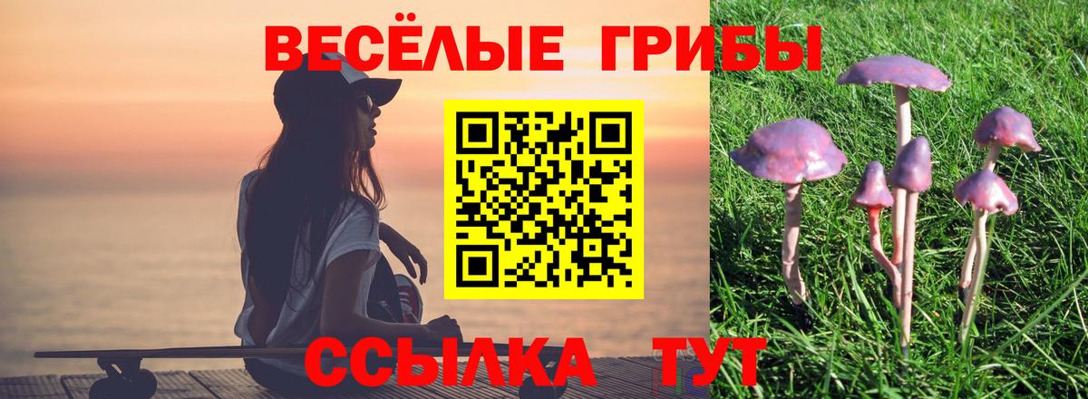 Псилоцибиновые грибы мицелий  Псилоцибиновые грибы прущие грибы  Урюпинск  Вход с VPN 